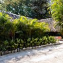MEX CHP Palenque 2019APR06 HotelMayaBell 002 : - DATE, - PLACES, - TRIPS, 10's, 2019, 2019 - Taco's & Toucan's, Americas, April, Chiapas, Day, Hotel Maya Bell, Mexico, Month, North America, Palenque, Saturday, South Pacific Coast, Year