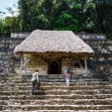 MEX CHP Palenque 2019APR06 ZonaArqueologica 022 : - DATE, - PLACES, - TRIPS, 10's, 2019, 2019 - Taco's & Toucan's, Americas, April, Chiapas, Day, Mexico, Month, North America, Palenque, Saturday, South Pacific Coast, Year, Zona Arqueológica Palenque