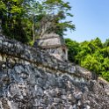 MEX CHP Palenque 2019APR06 ZonaArqueologica 032 : - DATE, - PLACES, - TRIPS, 10's, 2019, 2019 - Taco's & Toucan's, Americas, April, Chiapas, Day, Mexico, Month, North America, Palenque, Saturday, South Pacific Coast, Year, Zona Arqueológica Palenque