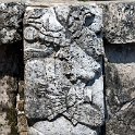 MEX CHP Palenque 2019APR06 ZonaArqueologica 066 : - DATE, - PLACES, - TRIPS, 10's, 2019, 2019 - Taco's & Toucan's, Americas, April, Chiapas, Day, Mexico, Month, North America, Palenque, Saturday, South Pacific Coast, Year, Zona Arqueológica Palenque