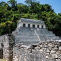 MEX CHP Palenque 2019APR06 ZonaArqueologica 086 : - DATE, - PLACES, - TRIPS, 10's, 2019, 2019 - Taco's & Toucan's, Americas, April, Chiapas, Day, Mexico, Month, North America, Palenque, Saturday, South Pacific Coast, Year, Zona Arqueológica Palenque