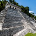 MEX CHP Palenque 2019APR06 ZonaArqueologica 098 : - DATE, - PLACES, - TRIPS, 10's, 2019, 2019 - Taco's & Toucan's, Americas, April, Chiapas, Day, Mexico, Month, North America, Palenque, Saturday, South Pacific Coast, Year, Zona Arqueológica Palenque