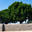MEX OAX MonteAlban 2019APR04 011 : - DATE, - PLACES, - TRIPS, 10's, 2019, 2019 - Taco's & Toucan's, Americas, April, Day, Mexico, Monte Albán, Month, North America, Oaxaca, South Pacific Coast, Thursday, Year, Zona Arqueológica