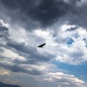 MEX OAX SanLorenzoAlbarradas 2019APR04 HierveElAgua 015 : - DATE, - PLACES, - TRIPS, 10's, 2019, 2019 - Taco's & Toucan's, Americas, April, Day, Hierve el Agua, Mexico, Month, North America, Oaxaca, San Lorenzo Albarradas, South Pacific Coast, Thursday, Year