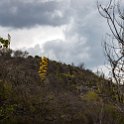 MEX OAX SanLorenzoAlbarradas 2019APR04 HierveElAgua 029 : - DATE, - PLACES, - TRIPS, 10's, 2019, 2019 - Taco's & Toucan's, Americas, April, Day, Hierve el Agua, Mexico, Month, North America, Oaxaca, San Lorenzo Albarradas, South Pacific Coast, Thursday, Year