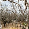 MEX OAX SanLorenzoAlbarradas 2019APR04 HierveElAgua 037 : - DATE, - PLACES, - TRIPS, 10's, 2019, 2019 - Taco's & Toucan's, Americas, April, Day, Hierve el Agua, Mexico, Month, North America, Oaxaca, San Lorenzo Albarradas, South Pacific Coast, Thursday, Year