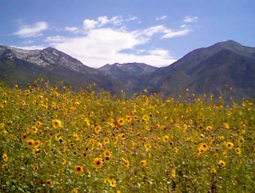 USA UT Lehi 1997JUL 001