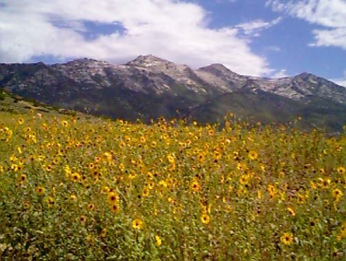 USA UT Lehi 1997JUL 002