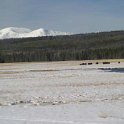 USA WY YellowstoneNP 2004NOV01 IceLake 007 : 2004, 2004 - Yellowstone Travels, Americas, Ice Lake, National Park, North America, November, USA, Wyoming, Yellowstone